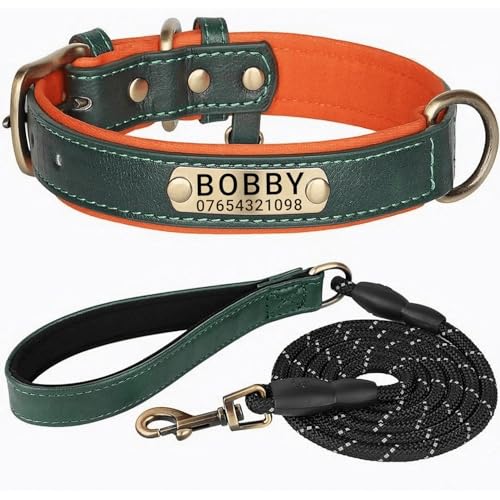 Hundehalsband aus echtem Leder, personalisierbar mit weich gepolstertem Design, strapazierfähig, mit personalisierbarem Namensschild für kleine, mittelgroße und große Hunde Hundehalsband aus echtem Leder, personalisierbar mit weich gepolstertem Design, strapazierfähig, mit personalisierbarem Namensschild für kleine, mittelgroße und große Hunde von TSD