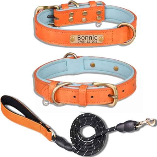 Hundehalsband aus echtem Leder, personalisierbar mit weich gepolstertem Design, strapazierfähig, mit personalisierbarem Namensschild für kleine, mittelgroße und große Hunde Hundehalsband aus echtem Leder, personalisierbar mit weich gepolstertem Design, strapazierfähig, mit personalisierbarem Namensschild für kleine, mittelgroße und große Hunde von TSD