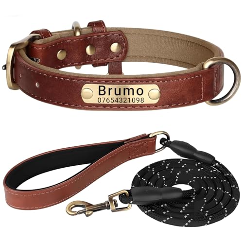 Hundehalsband aus echtem Leder, personalisierbar mit weich gepolstertem Design, strapazierfähig, mit personalisierbarem Namensschild für kleine, mittelgroße und große Hunde Hundehalsband aus echtem Leder, personalisierbar mit weich gepolstertem Design, strapazierfähig, mit personalisierbarem Namensschild für kleine, mittelgroße und große Hunde von TSD