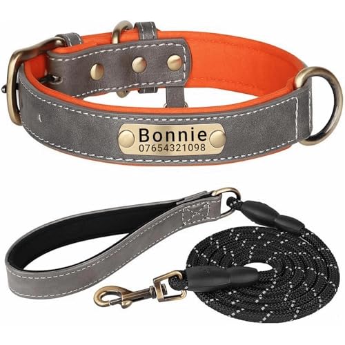 Hundehalsband aus echtem Leder, personalisierbar mit weich gepolstertem Design, strapazierfähig, mit personalisierbarem Namensschild für kleine, mittelgroße und große Hunde Hundehalsband aus echtem Leder, personalisierbar mit weich gepolstertem Design, strapazierfähig, mit personalisierbarem Namensschild für kleine, mittelgroße und große Hunde von TSD