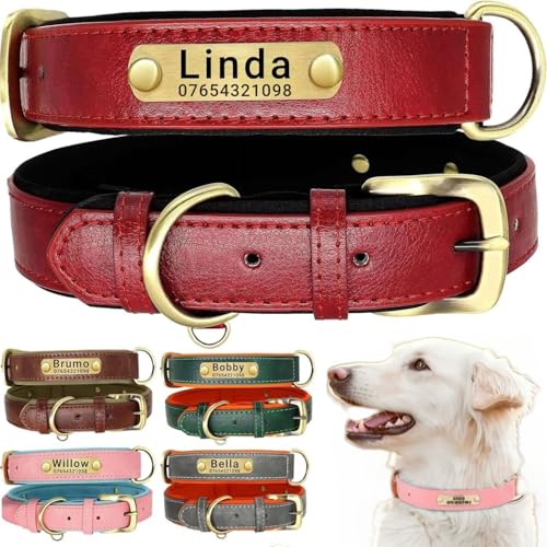 Hundehalsband aus echtem Leder, personalisierbar mit weich gepolstertem Design, strapazierfähig, mit personalisierbarem Namensschild für kleine, mittelgroße und große Hunde Hundehalsband aus echtem Leder, personalisierbar mit weich gepolstertem Design, strapazierfähig, mit personalisierbarem Namensschild für kleine, mittelgroße und große Hunde von TSD