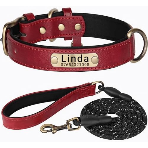 Hundehalsband aus echtem Leder, personalisierbar mit weich gepolstertem Design, strapazierfähig, mit personalisierbarem Namensschild für kleine, mittelgroße und große Hunde Hundehalsband aus echtem Leder, personalisierbar mit weich gepolstertem Design, strapazierfähig, mit personalisierbarem Namensschild für kleine, mittelgroße und große Hunde von TSD