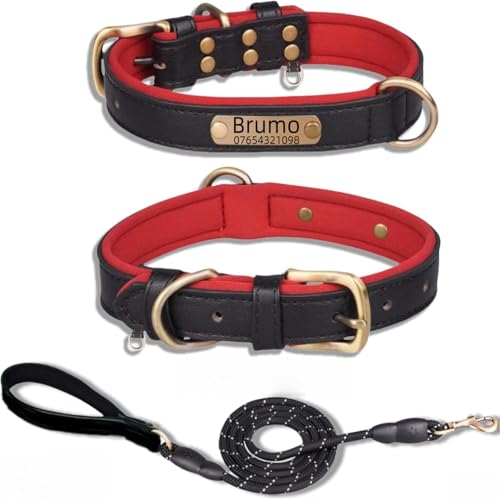 Hundehalsband aus echtem Leder, personalisierbar mit weich gepolstertem Design, strapazierfähig, mit personalisierbarem Namensschild für kleine, mittelgroße und große Hunde Hundehalsband aus echtem Leder, personalisierbar mit weich gepolstertem Design, strapazierfähig, mit personalisierbarem Namensschild für kleine, mittelgroße und große Hunde von TSD