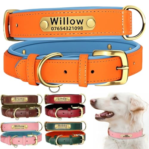 Hundehalsband aus echtem Leder, personalisierbar mit weich gepolstertem Design, strapazierfähig, mit personalisierbarem Namensschild für kleine, mittelgroße und große Hunde Hundehalsband aus echtem Leder, personalisierbar mit weich gepolstertem Design, strapazierfähig, mit personalisierbarem Namensschild für kleine, mittelgroße und große Hunde von TSD