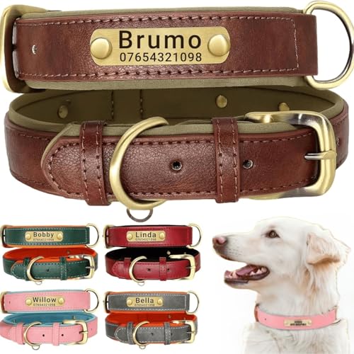 Hundehalsband aus echtem Leder, personalisierbar mit weich gepolstertem Design, strapazierfähig, mit personalisierbarem Namensschild für kleine, mittelgroße und große Hunde Hundehalsband aus echtem Leder, personalisierbar mit weich gepolstertem Design, strapazierfähig, mit personalisierbarem Namensschild für kleine, mittelgroße und große Hunde von TSD