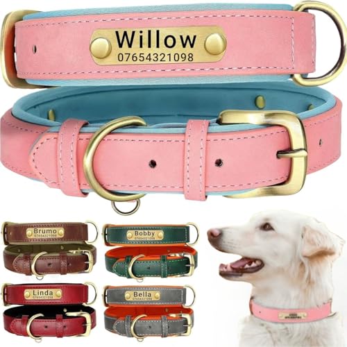 Hundehalsband aus echtem Leder, personalisierbar mit weich gepolstertem Design, strapazierfähig, mit personalisierbarem Namensschild für kleine, mittelgroße und große Hunde Hundehalsband aus echtem Leder, personalisierbar mit weich gepolstertem Design, strapazierfähig, mit personalisierbarem Namensschild für kleine, mittelgroße und große Hunde von TSD