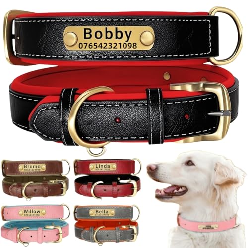 Hundehalsband aus echtem Leder, personalisierbar mit weich gepolstertem Design, strapazierfähig, mit personalisierbarem Namensschild für kleine, mittelgroße und große Hunde von TSD