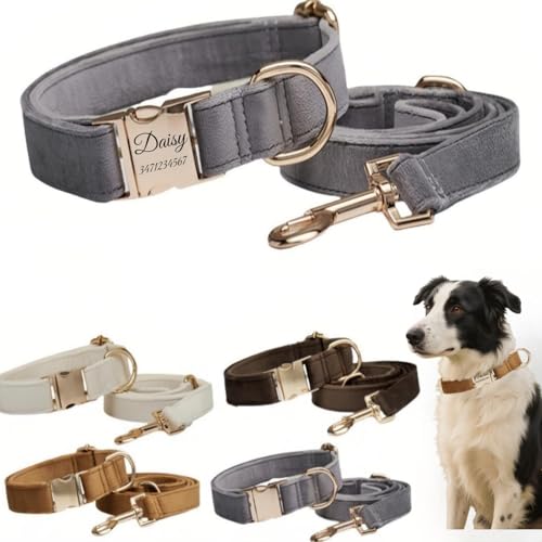 Hundehalsband mit Leine, modisches Hundehalsband, personalisierte Namensgravur, verfügbar, Hundetrainingshalsband für kleine, mittelgroße und große Hunde, verstellbare Größe, Haustierbedarf mit Leine Hundehalsband mit Leine, modisches Hundehalsband, personalisierte Namensgravur, verfügbar, Hundetrainingshalsband für kleine, mittelgroße und große Hunde, verstellbare Größe, Haustierbedarf mit Leine von TSD
