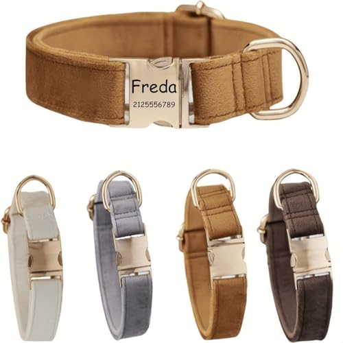 Hundehalsband mit Leine, modisches Hundehalsband, personalisierte Namensgravur, verfügbar, Hundetrainingshalsband für kleine, mittelgroße und große Hunde, verstellbare Größe, Haustierbedarf mit Leine Hundehalsband mit Leine, modisches Hundehalsband, personalisierte Namensgravur, verfügbar, Hundetrainingshalsband für kleine, mittelgroße und große Hunde, verstellbare Größe, Haustierbedarf mit Leine von TSD