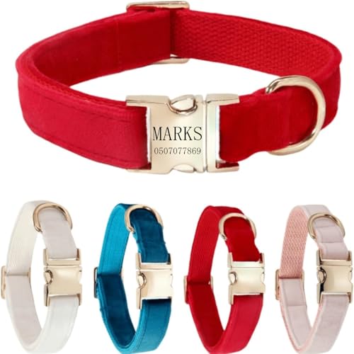 Hundehalsband mit Leine, modisches Hundehalsband, personalisierte Namensgravur, verfügbar, Hundetrainingshalsband für kleine, mittelgroße und große Hunde, verstellbare Größe, Haustierbedarf mit Leine Hundehalsband mit Leine, modisches Hundehalsband, personalisierte Namensgravur, verfügbar, Hundetrainingshalsband für kleine, mittelgroße und große Hunde, verstellbare Größe, Haustierbedarf mit Leine von TSD