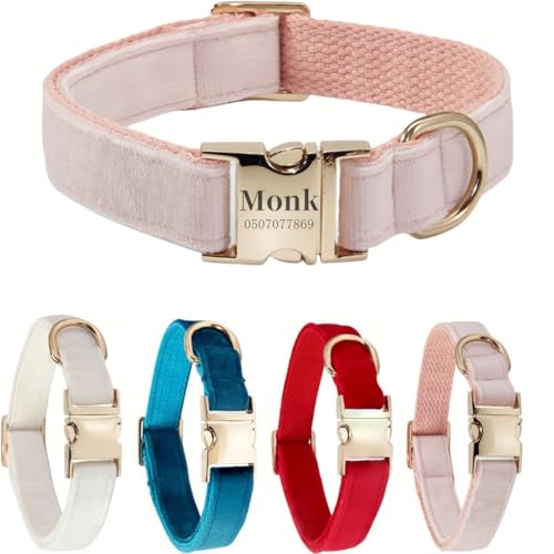 Hundehalsband mit Leine, modisches Hundehalsband, personalisierte Namensgravur, verfügbar, Hundetrainingshalsband für kleine, mittelgroße und große Hunde, verstellbare Größe, Haustierbedarf mit Leine Hundehalsband mit Leine, modisches Hundehalsband, personalisierte Namensgravur, verfügbar, Hundetrainingshalsband für kleine, mittelgroße und große Hunde, verstellbare Größe, Haustierbedarf mit Leine von TSD