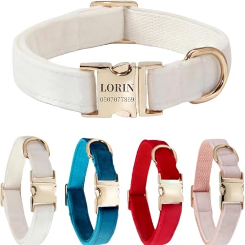 Hundehalsband mit Leine, modisches Hundehalsband, personalisierte Namensgravur, verfügbar, Hundetrainingshalsband für kleine, mittelgroße und große Hunde, verstellbare Größe, Haustierbedarf mit Leine Hundehalsband mit Leine, modisches Hundehalsband, personalisierte Namensgravur, verfügbar, Hundetrainingshalsband für kleine, mittelgroße und große Hunde, verstellbare Größe, Haustierbedarf mit Leine von TSD