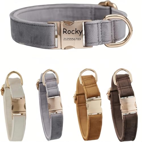 Hundehalsband mit Leine, modisches Hundehalsband, personalisierte Namensgravur, verfügbar, Hundetrainingshalsband für kleine, mittelgroße und große Hunde, verstellbare Größe, Haustierbedarf mit Leine Hundehalsband mit Leine, modisches Hundehalsband, personalisierte Namensgravur, verfügbar, Hundetrainingshalsband für kleine, mittelgroße und große Hunde, verstellbare Größe, Haustierbedarf mit Leine von TSD