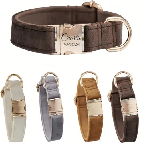 Hundehalsband mit Leine, modisches Hundehalsband, personalisierte Namensgravur, verfügbar, Hundetrainingshalsband für kleine, mittelgroße und große Hunde, verstellbare Größe, Haustierbedarf mit Leine Hundehalsband mit Leine, modisches Hundehalsband, personalisierte Namensgravur, verfügbar, Hundetrainingshalsband für kleine, mittelgroße und große Hunde, verstellbare Größe, Haustierbedarf mit Leine von TSD