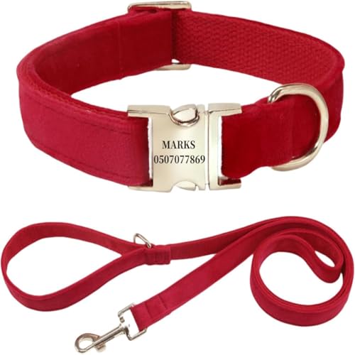 Hundehalsband mit Leine, modisches Hundehalsband, personalisierte Namensgravur, verfügbar, Hundetrainingshalsband für kleine, mittelgroße und große Hunde, verstellbare Größe, Haustierbedarf mit Leine Hundehalsband mit Leine, modisches Hundehalsband, personalisierte Namensgravur, verfügbar, Hundetrainingshalsband für kleine, mittelgroße und große Hunde, verstellbare Größe, Haustierbedarf mit Leine von TSD