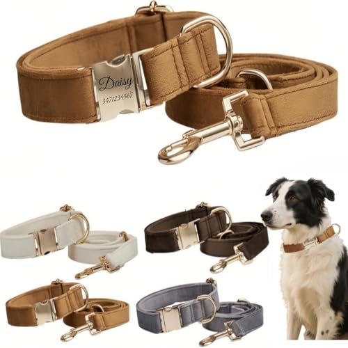 Hundehalsband mit Leine, modisches Hundehalsband, personalisierte Namensgravur, verfügbar, Hundetrainingshalsband für kleine, mittelgroße und große Hunde, verstellbare Größe, Haustierbedarf mit Leine Hundehalsband mit Leine, modisches Hundehalsband, personalisierte Namensgravur, verfügbar, Hundetrainingshalsband für kleine, mittelgroße und große Hunde, verstellbare Größe, Haustierbedarf mit Leine von TSD