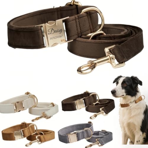 Hundehalsband mit Leine, modisches Hundehalsband, personalisierte Namensgravur, verfügbar, Hundetrainingshalsband für kleine, mittelgroße und große Hunde, verstellbare Größe, Haustierbedarf mit Leine Hundehalsband mit Leine, modisches Hundehalsband, personalisierte Namensgravur, verfügbar, Hundetrainingshalsband für kleine, mittelgroße und große Hunde, verstellbare Größe, Haustierbedarf mit Leine von TSD
