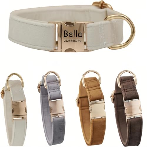 Hundehalsband mit Leine, modisches Hundehalsband, personalisierte Namensgravur, verfügbar, Hundetrainingshalsband für kleine, mittelgroße und große Hunde, verstellbare Größe, Haustierbedarf mit Leine Hundehalsband mit Leine, modisches Hundehalsband, personalisierte Namensgravur, verfügbar, Hundetrainingshalsband für kleine, mittelgroße und große Hunde, verstellbare Größe, Haustierbedarf mit Leine von TSD