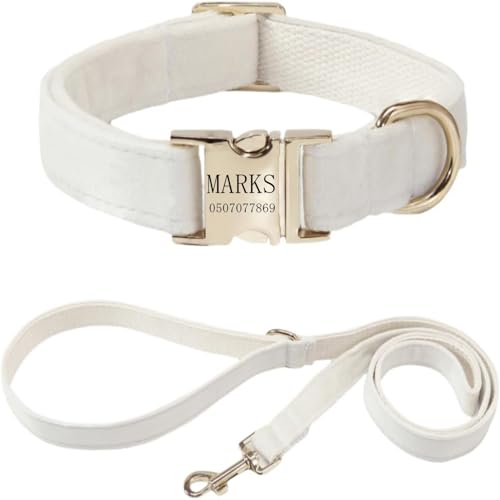 Hundehalsband mit Leine, modisches Hundehalsband, personalisierte Namensgravur, verfügbar, Hundetrainingshalsband für kleine, mittelgroße und große Hunde, verstellbare Größe, Haustierbedarf mit Leine von TSD