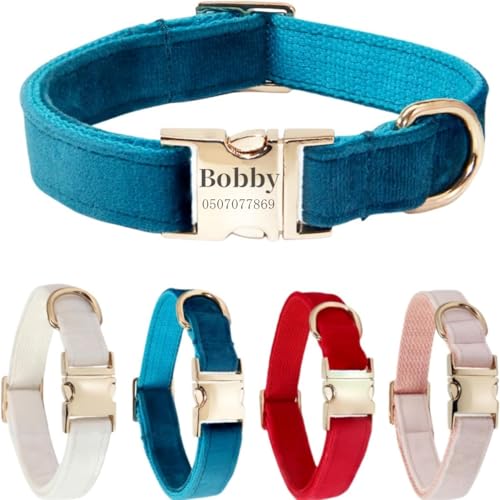 Hundehalsband mit Leine, modisches Hundehalsband, personalisierte Namensgravur, verfügbar, Hundetrainingshalsband für kleine, mittelgroße und große Hunde, verstellbare Größe, Haustierbedarf mit Leine von TSD