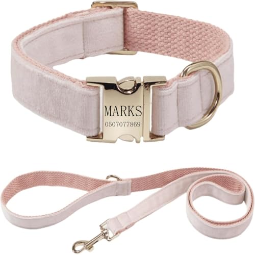Hundehalsband mit Leine, modisches Hundehalsband, personalisierte Namensgravur, verfügbar, Hundetrainingshalsband für kleine, mittelgroße und große Hunde, verstellbare Größe, Haustierbedarf mit Leine von TSD