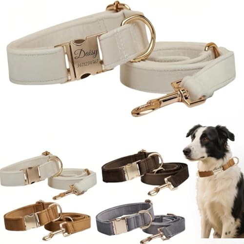 Hundehalsband mit Leine, modisches Hundehalsband, personalisierte Namensgravur, verfügbar, Hundetrainingshalsband für kleine, mittelgroße und große Hunde, verstellbare Größe, Haustierbedarf mit Leine von TSD