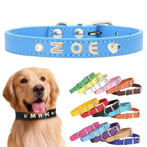 Personalisiertes Hundehalsband aus Leder mit individuellen Buchstaben, verstellbares Haustierhalsband für kleine, mittelgroße und große Hunde, DIY-Buchstabenanpassung für Welpen (Blau, Größe M: Länge Personalisiertes Hundehalsband aus Leder mit individuellen Buchstaben, verstellbares Haustierhalsband für kleine, mittelgroße und große Hunde, DIY-Buchstabenanpassung für Welpen (Blau, Größe M: Länge von TSD