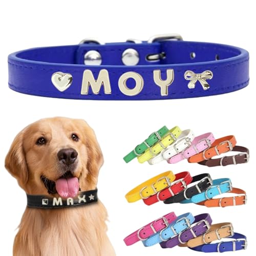 Personalisiertes Hundehalsband aus Leder mit individuellen Buchstaben, verstellbares Haustierhalsband für kleine, mittelgroße und große Hunde, DIY-Buchstabenanpassung für Welpen (Blau-Lila, Größe XL Personalisiertes Hundehalsband aus Leder mit individuellen Buchstaben, verstellbares Haustierhalsband für kleine, mittelgroße und große Hunde, DIY-Buchstabenanpassung für Welpen (Blau-Lila, Größe XL von TSD