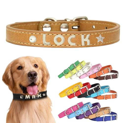 Personalisiertes Hundehalsband aus Leder mit individuellen Buchstaben, verstellbares Haustierhalsband für kleine, mittelgroße und große Hunde, DIY-Buchstabenanpassung für Welpen (Braun, XS: Länge 29 Personalisiertes Hundehalsband aus Leder mit individuellen Buchstaben, verstellbares Haustierhalsband für kleine, mittelgroße und große Hunde, DIY-Buchstabenanpassung für Welpen (Braun, XS: Länge 29 von TSD