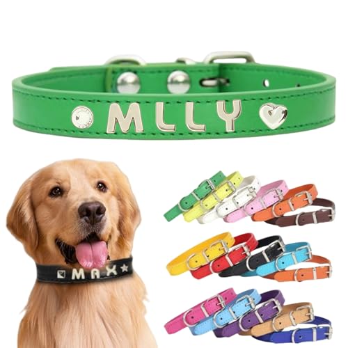 Personalisiertes Hundehalsband aus Leder mit individuellen Buchstaben, verstellbares Haustierhalsband für kleine, mittelgroße und große Hunde, DIY-Buchstabenanpassung für Welpen (Grün, L: Länge 40 cm von TSD