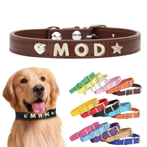 Personalisiertes Hundehalsband aus Leder mit individuellen Buchstaben, verstellbares Haustierhalsband für kleine, mittelgroße und große Hunde, DIY-Buchstabenanpassung für Welpen (Kaffeebraun XS: Länge Personalisiertes Hundehalsband aus Leder mit individuellen Buchstaben, verstellbares Haustierhalsband für kleine, mittelgroße und große Hunde, DIY-Buchstabenanpassung für Welpen (Kaffeebraun XS: Länge von TSD