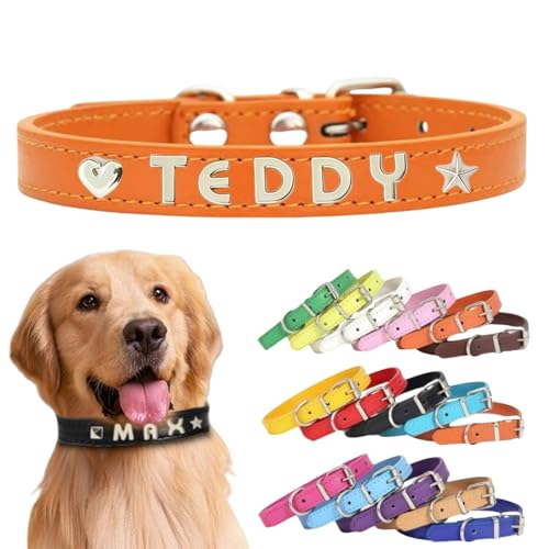 Personalisiertes Hundehalsband aus Leder mit individuellen Buchstaben, verstellbares Haustierhalsband für kleine, mittelgroße und große Hunde, DIY-Buchstabenanpassung für Welpen (Orange, XS: Länge 29 Personalisiertes Hundehalsband aus Leder mit individuellen Buchstaben, verstellbares Haustierhalsband für kleine, mittelgroße und große Hunde, DIY-Buchstabenanpassung für Welpen (Orange, XS: Länge 29 von TSD