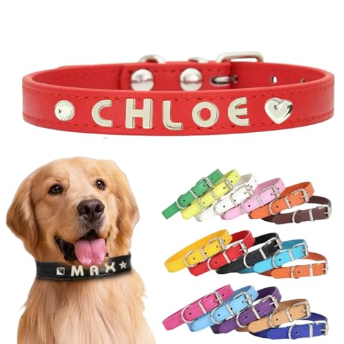 Personalisiertes Hundehalsband aus Leder mit individuellen Buchstaben, verstellbares Haustierhalsband für kleine, mittelgroße und große Hunde, DIY-Buchstabenanpassung für Welpen (Rot, L: Länge 49 cm Personalisiertes Hundehalsband aus Leder mit individuellen Buchstaben, verstellbares Haustierhalsband für kleine, mittelgroße und große Hunde, DIY-Buchstabenanpassung für Welpen (Rot, L: Länge 49 cm von TSD