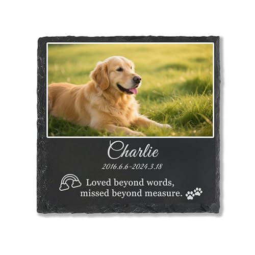 TSD Gedenkstein für Hunde, personalisierbar, Granit, Haustier-Grabmarkierung mit UV-gedrucktem Foto-Namen und Daten, Haustier-Gedenkstein für Friedhof, Garten, Zuhause, Outdoor, Gedenkdekoration TSD Gedenkstein für Hunde, personalisierbar, Granit, Haustier-Grabmarkierung mit UV-gedrucktem Foto-Namen und Daten, Haustier-Gedenkstein für Friedhof, Garten, Zuhause, Outdoor, Gedenkdekoration von TSD