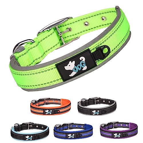 TSKDKIT Hundehalsband Verstellbare, Super Weiches Neopren Gepostertes Hundehalsband, Reflektierend Hunde Halsband Atmungsaktives Wetterfest für das Training, für alle Hunderassen(Grün,L) von TSKDKIT