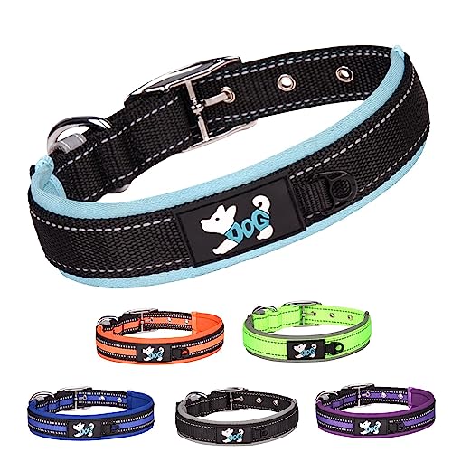 TSKDKIT Hundehalsband Verstellbare, Super Weiches Neopren Gepostertes Hundehalsband, Reflektierend Hunde Halsband Atmungsaktives Wetterfest für das Training, für alle Hunderassen(Hellblau,L) von TSKDKIT