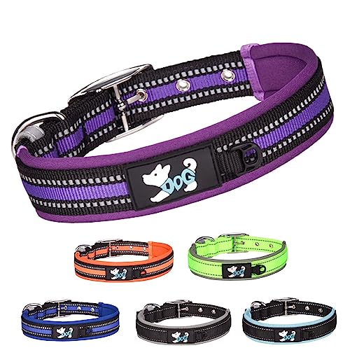 TSKDKIT Hundehalsband Verstellbare, Super Weiches Neopren Gepostertes Hundehalsband, Reflektierend Hunde Halsband Atmungsaktives Wetterfest für das Training, für alle Hunderassen(Lila,L) von TSKDKIT