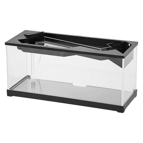 Kleine Ökosystem-Fischtanks mit Zirkulationssystemen, geräuscharmer Pumpe, klares Acryl-Design für Heimdekoration Kleine Ökosystem-Fischtanks mit Zirkulationssystemen, geräuscharmer Pumpe, klares Acryl-Design für Heimdekoration von TSMORY