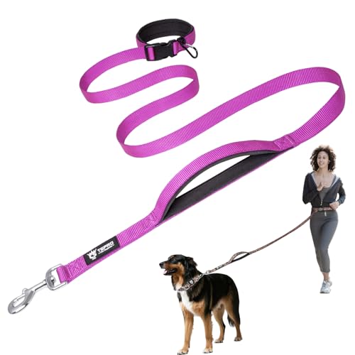 TSPRO Freihandleine Hund für Mittel bis Große Hunde, Verstellbar und Dauerhaft, mit Weichem Gepolstertem Griff und Metallschnalle (Lila 25) von TSPRO