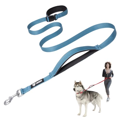 TSPRO Hands Free Hundeleine, Hundeleine Verstellbar für Mittelgroße/Große Hunde, Nylon Leine Hund Übungsleine mit Kontroll-sicherheitsgriff und Verschluss Schnalle Blau (Blue) von TSPRO