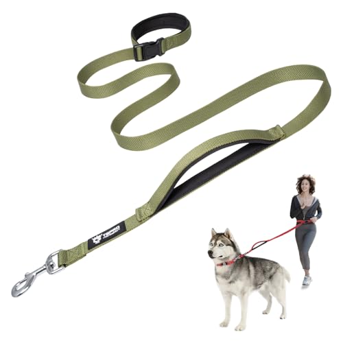 TSPRO Hands Free Hundeleine, Hundeleine Verstellbar für Mittelgroße/Große Hunde, Nylon Leine Hund Übungsleine mit Kontroll-sicherheitsgriff und Verschluss Schnalle Grün (Green) von TSPRO