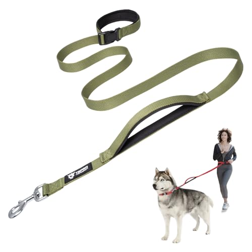 TSPRO Hands-Free Hundeleine Verstellbare Laufleine mit Kontroll-Sicherheitsgriff und robustem Verschluss für kleine, mittlere und große Hunde Grün (Green) von TSPRO
