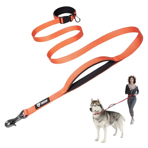 TSPRO Hands-Free Hundeleine Verstellbare Laufleine mit Kontroll-Sicherheitsgriff und robustem Verschluss für kleine, mittlere und große Hunde (Orange) von TSPRO