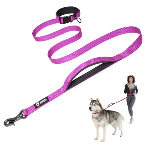 TSPRO Hands Free Hundeleine, Hundeleine Verstellbar für Mittelgroße/Große Hunde, Nylon Leine Hund Übungsleine mit Kontroll-sicherheitsgriff und Verschluss Schnalle Lila (Purple) von TSPRO