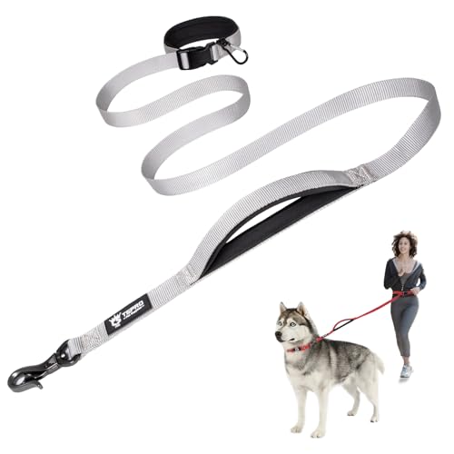 TSPRO Hands-Free Hundeleine Verstellbare Laufleine mit Kontroll-Sicherheitsgriff und robustem Verschluss für kleine, mittlere und große Hunde Silber (Silver) von TSPRO