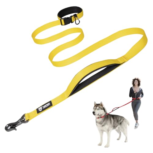 TSPRO Freihandleine Hund für Mittel bis Große Hunde, Verstellbar und Dauerhaft, mit Weichem Gepolstertem Griff und Metallschnalle (Gelb) von TSPRO