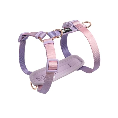 TSPRO Hundegeschirr Mittelgroße Hunde, No Pull Hundegeschirr Leichtes Gewicht Adjustierbar Gradientfarbe Geschirr für Hunde mit Schnellspanner Atmungsaktiv und Langlebig (Lila Pink, Größe 2) von TSPRO