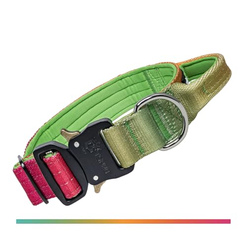 TSPRO Premium Hundehalsband mit Griff Dickes Verstellbares Taktisches Hundehalsband Schwere Ausführung Schnellverschluss Metallschnalle für Mittelgroße bis Große Hunde (Vitalitätsgradient M) TSPRO Premium Hundehalsband mit Griff Dickes Verstellbares Taktisches Hundehalsband Schwere Ausführung Schnellverschluss Metallschnalle für Mittelgroße bis Große Hunde (Vitalitätsgradient M) von TSPRO