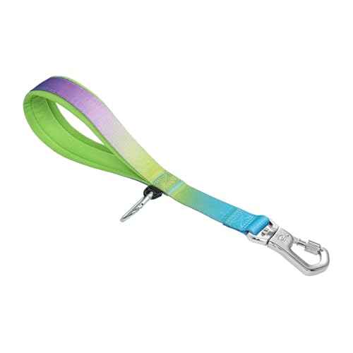 TSPRO Trainingsleine für Hunde, Kurzführer Hund für Große Hunde, mit Starkem Metallverschluss und Gepolstertem Griff, 36 cm Hundeleitband für Spaziergäng (Regenbogen Farbenverlauf) von TSPRO