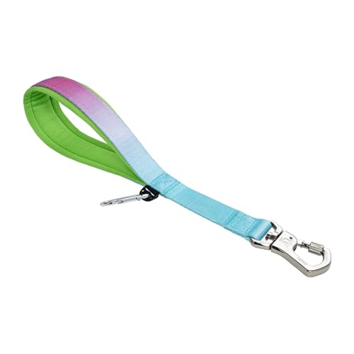 TSPRO Trainingsleine für Hunde, Kurzführer Hund für Große Hunde, mit Starkem Metallverschluss und Gepolstertem Griff, 36 cm Hundeleitband für Spaziergäng (Blau - Rosa - Farbenverlauf) von TSPRO